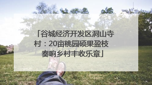 谷城经济开发区洞山寺村：20亩桃园硕果盈枝 奏响乡村丰收乐章