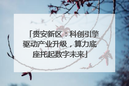 贵安新区：科创引擎驱动产业升级，算力底座托起数字未来