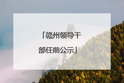 赣州领导干部任前公示