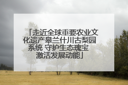 走近全球重要农业文化遗产皋兰什川古梨园系统 守护生态瑰宝 激活发展动能