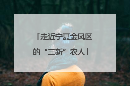 走近宁夏金凤区的“三新”农人