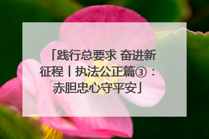 践行总要求 奋进新征程丨执法公正篇③：赤胆忠心守平安