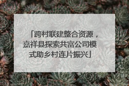 跨村联建整合资源，嘉祥县探索共富公司模式助乡村连片振兴
