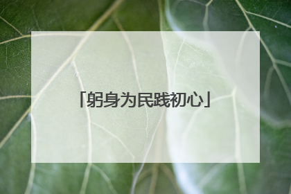 躬身为民践初心