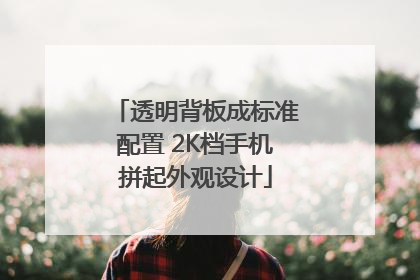 透明背板成标准配置 2K档手机拼起外观设计