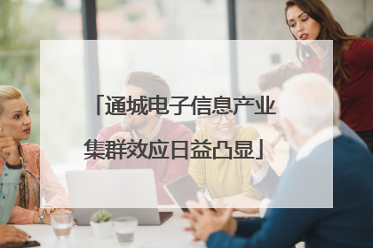 通城电子信息产业集群效应日益凸显