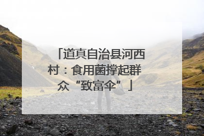 道真自治县河西村：食用菌撑起群众“致富伞”