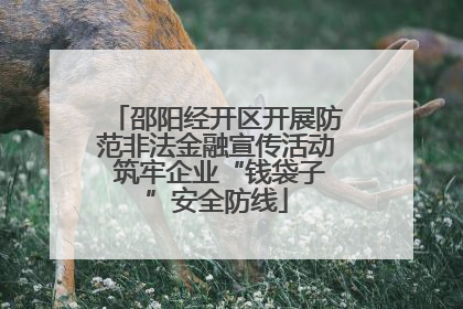 邵阳经开区开展防范非法金融宣传活动 筑牢企业“钱袋子”安全防线