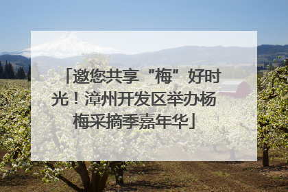 邀您共享“梅”好时光！漳州开发区举办杨梅采摘季嘉年华