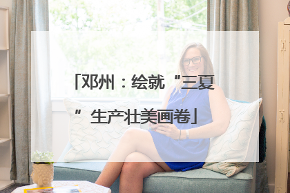 邓州：绘就“三夏”生产壮美画卷
