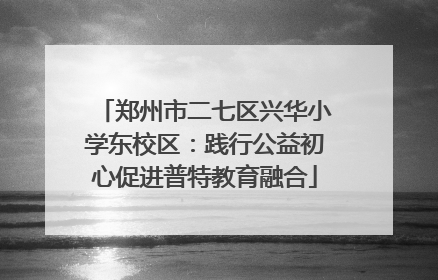 郑州市二七区兴华小学东校区：践行公益初心促进普特教育融合