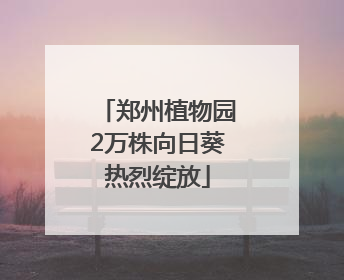 郑州植物园2万株向日葵热烈绽放