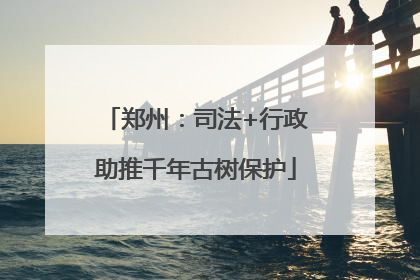 郑州：司法+行政助推千年古树保护