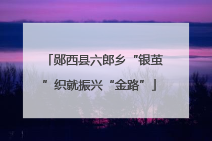 郧西县六郎乡“银茧”织就振兴“金路”