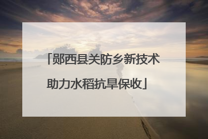 郧西县关防乡新技术助力水稻抗旱保收