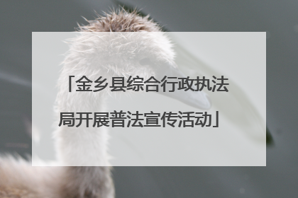 金乡县综合行政执法局开展普法宣传活动
