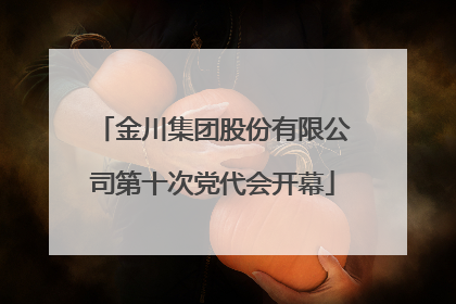 金川集团股份有限公司第十次党代会开幕