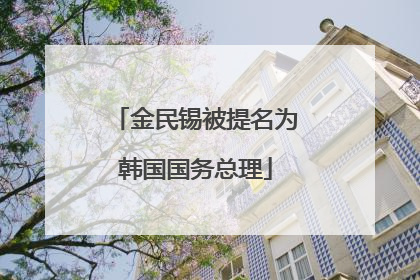 金民锡被提名为韩国国务总理