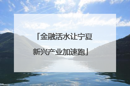 金融活水让宁夏新兴产业加速跑