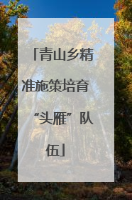 青山乡精准施策培育“头雁”队伍