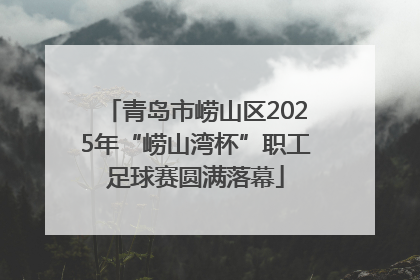 青岛市崂山区2025年“崂山湾杯”职工足球赛圆满落幕