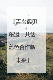 青岛遇见东盟，共话蓝色合作新未来