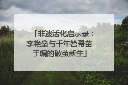 非遗活化启示录：李艳垒与千年笤帚苗手编的破茧新生