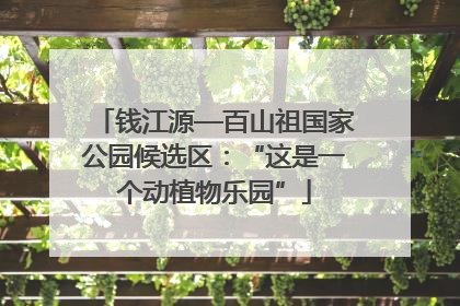 钱江源—百山祖国家公园候选区：“这是一个动植物乐园”