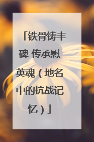 铁骨铸丰碑 传承慰英魂（地名中的抗战记忆）