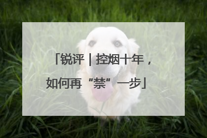 锐评｜控烟十年，如何再“禁”一步
