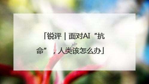 锐评｜面对AI“抗命”，人类该怎么办