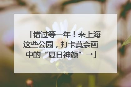 错过等一年！来上海这些公园，打卡莫奈画中的“夏日神颜”→