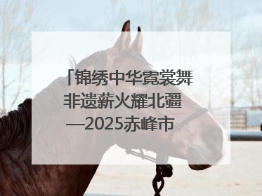 锦绣中华霓裳舞 非遗薪火耀北疆—2025赤峰市“文化和自然遗产日”非遗宣传展示活动纪实