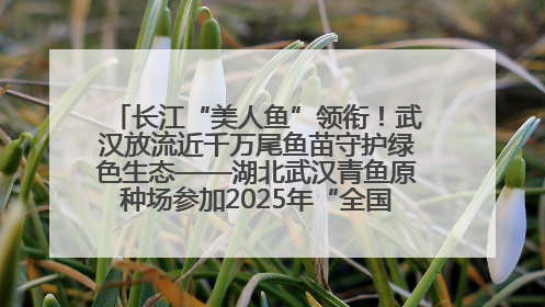 长江“美人鱼”领衔！武汉放流近千万尾鱼苗守护绿色生态——湖北武汉青鱼原种场参加2025年“全国放鱼日”增殖放流活动