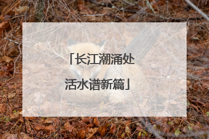 长江潮涌处 活水谱新篇