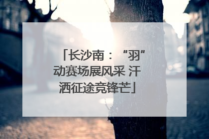 长沙南：“羽”动赛场展风采 汗洒征途竞锋芒