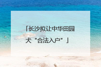 长沙拟让中华田园犬“合法入户”