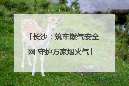 长沙：筑牢燃气安全网 守护万家烟火气
