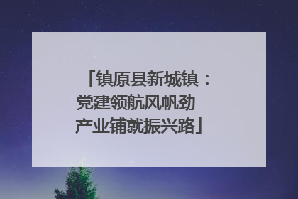 镇原县新城镇：党建领航风帆劲 产业铺就振兴路