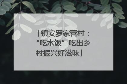 镇安罗家营村：“吃水饭”吃出乡村振兴好滋味