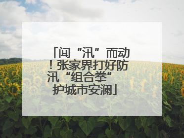 闻“汛”而动！张家界打好防汛“组合拳” 护城市安澜