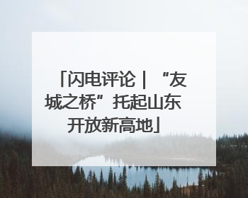 闪电评论｜“友城之桥”托起山东开放新高地
