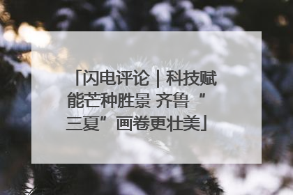 闪电评论｜科技赋能芒种胜景 齐鲁“三夏”画卷更壮美