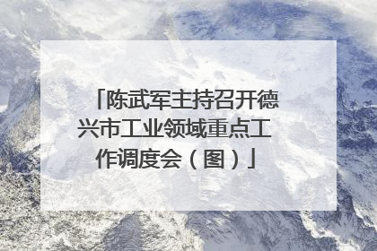 陈武军主持召开德兴市工业领域重点工作调度会（图）