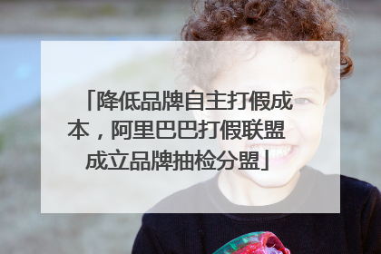 降低品牌自主打假成本，阿里巴巴打假联盟成立品牌抽检分盟