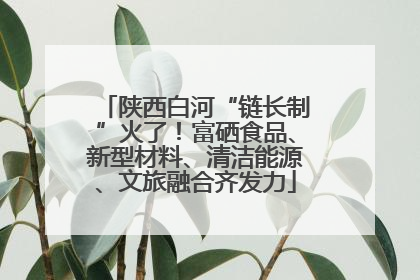 陕西白河“链长制”火了！富硒食品、新型材料、清洁能源、文旅融合齐发力