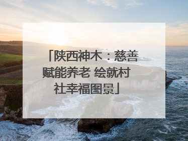 陕西神木：慈善赋能养老 绘就村社幸福图景