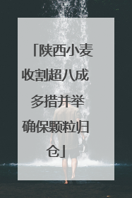 陕西小麦收割超八成 多措并举确保颗粒归仓