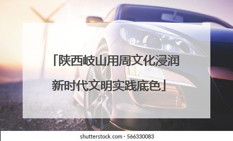 陕西岐山用周文化浸润新时代文明实践底色