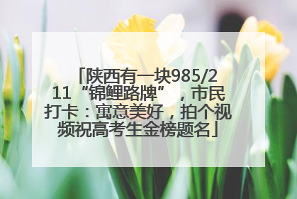 陕西有一块985/211“锦鲤路牌”，市民打卡：寓意美好，拍个视频祝高考生金榜题名